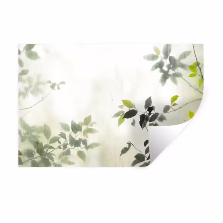 Muursticker - Blad - Schaduw - Natuur - Abstract - Groen — 1
