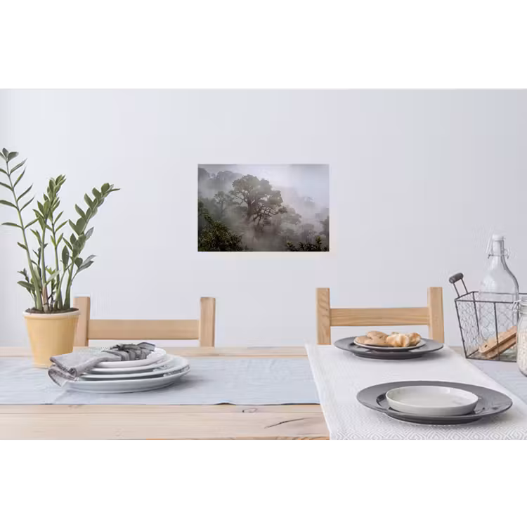 Muursticker - Boom - Mistig - Bos - Groen - Natuur — 3