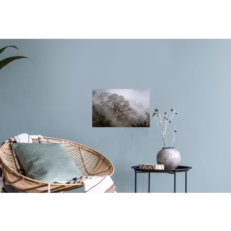 Muursticker - Boom - Mistig - Bos - Groen - Natuur — 4