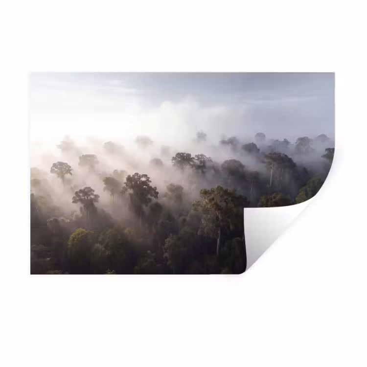 Muursticker - Bos - Mist - Natuur - Groen — 1