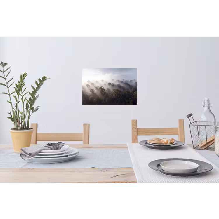 Muursticker - Bos - Mist - Natuur - Groen — 3