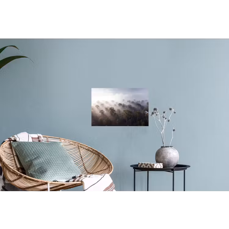 Muursticker - Bos - Mist - Natuur - Groen — 4