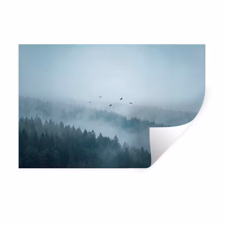 Muursticker - Bos - Mist - Vogels - Natuur - Groen — 1