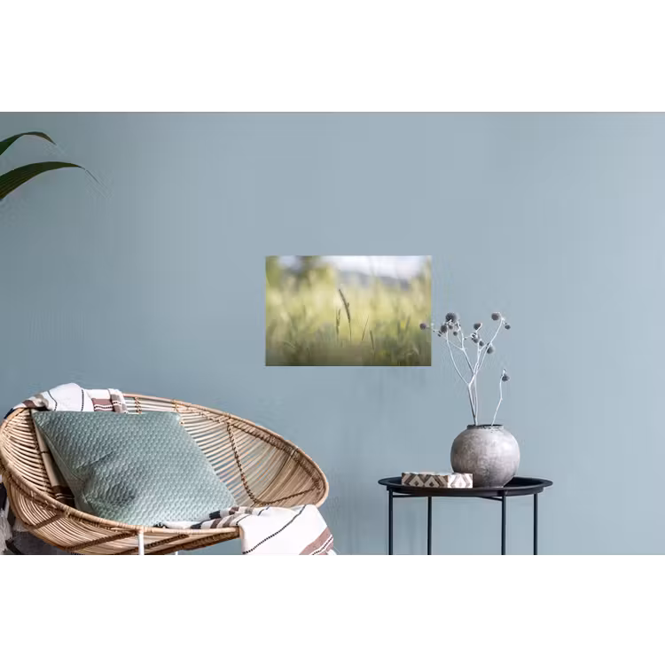 Muursticker - Graan - Aar - Natuur - Groen - Detail — 4