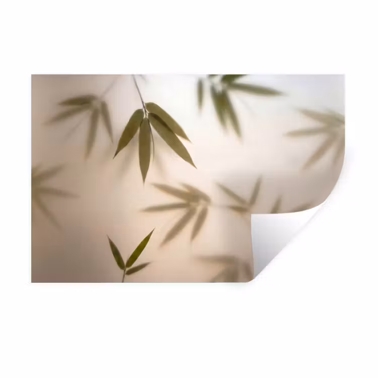 Muursticker - Planten - Bladeren - Natuur - Groen — 1