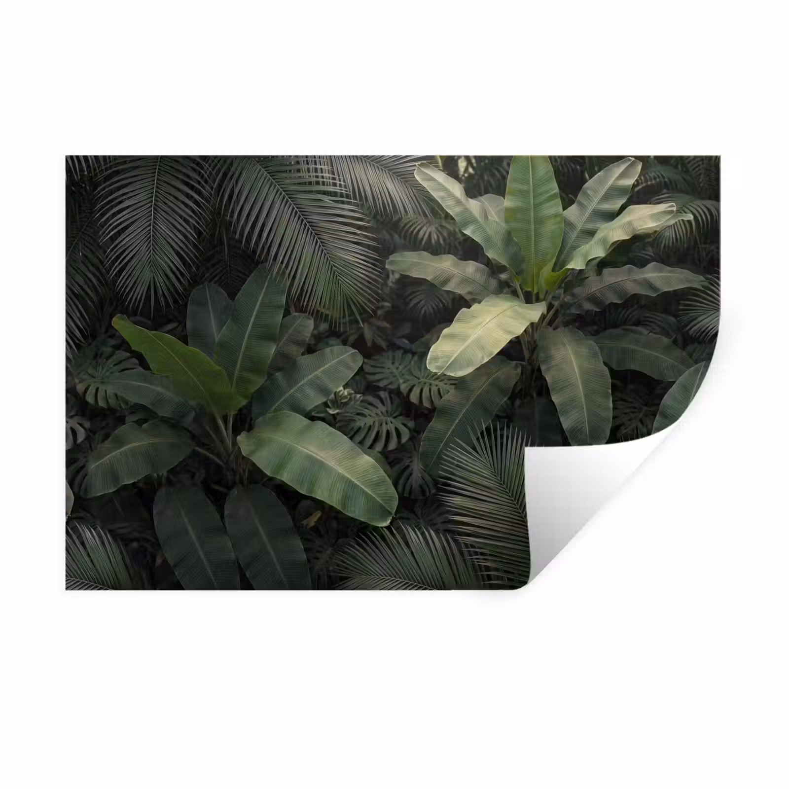 Muursticker - Bladeren - Groen - Tropisch - Natuur — 1