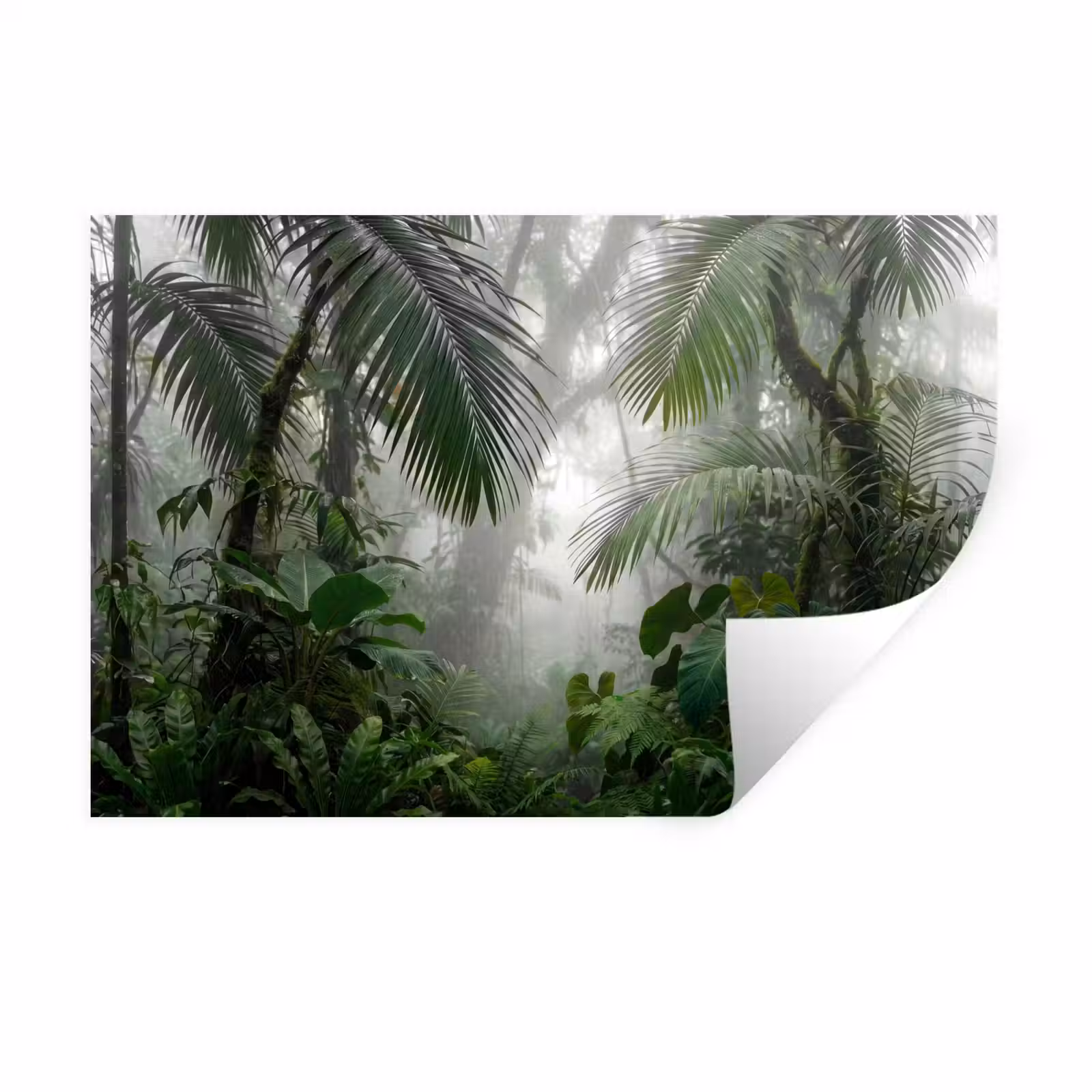 Muursticker - Natuur - Jungle - Mist - Tropisch - Groen — 1