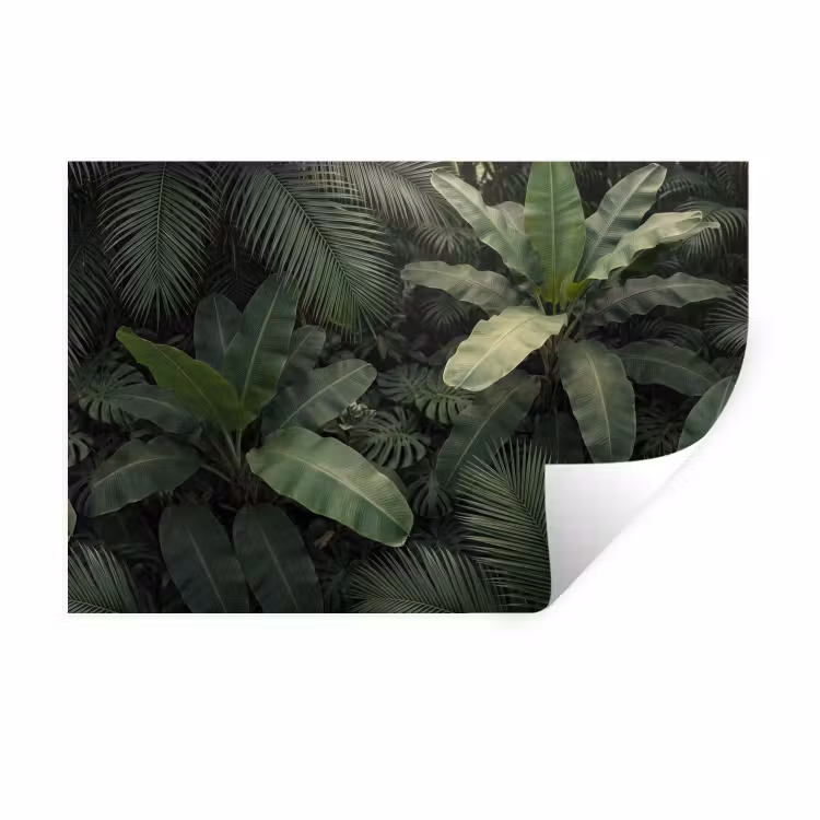 Muursticker - Bladeren - Groen - Tropisch - Natuur — 1