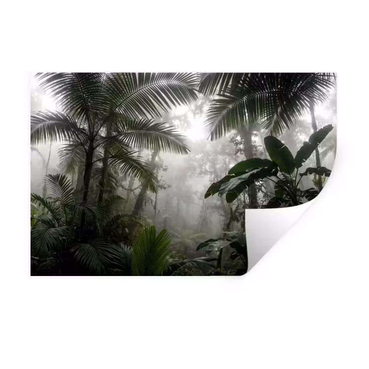 Muursticker - Natuur - Jungle - Mist - Groen - Bladeren — 1