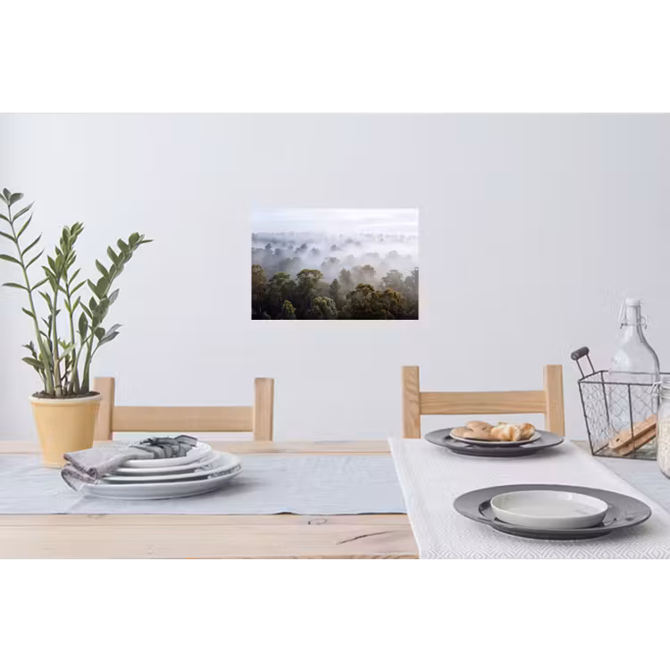 Muursticker - Natuur - Mist - Bos - Ochtend - Goud — 3