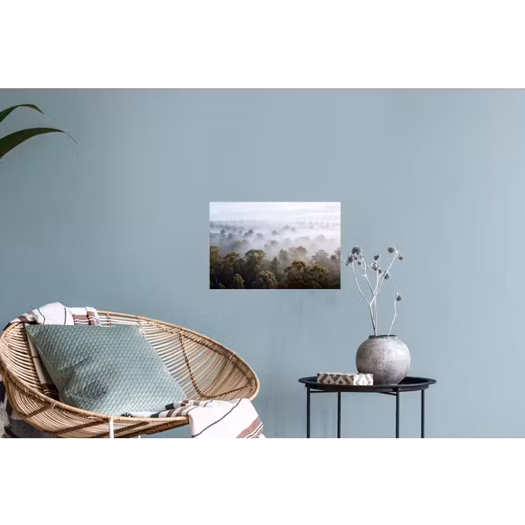 Muursticker - Natuur - Mist - Bos - Ochtend - Goud — 4