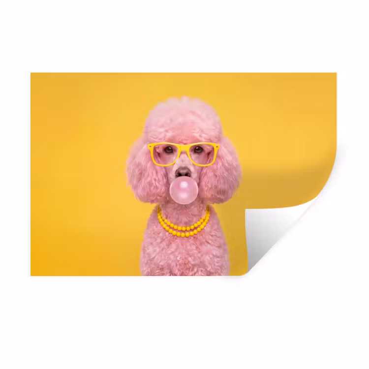 Muursticker - Hond - Kauwgum - Dieren - Modern - Roze — 1