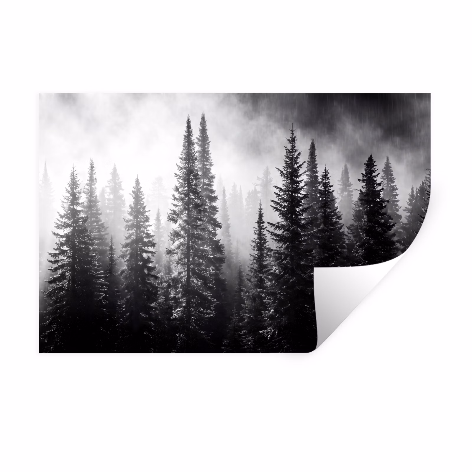 Muursticker - Bos - Mist - Winter - Monochroom - Natuur — 1