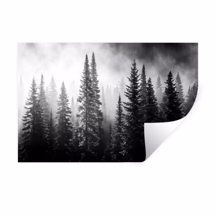 Muursticker - Bos - Mist - Winter - Monochroom - Natuur — 1