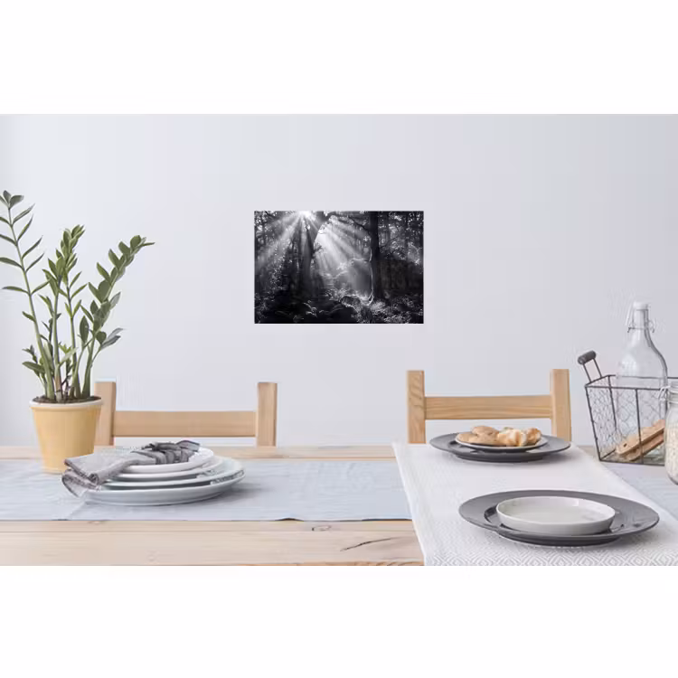 Muursticker - Bos - Lichtstralen - Natuur - Zwart-wit — 3