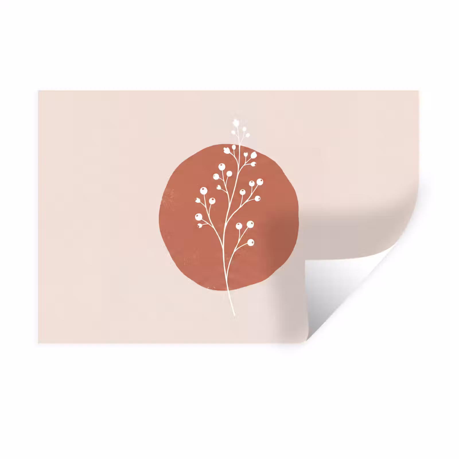 Muursticker - Plant - Tak - Abstract - Modern - Wit — 1
