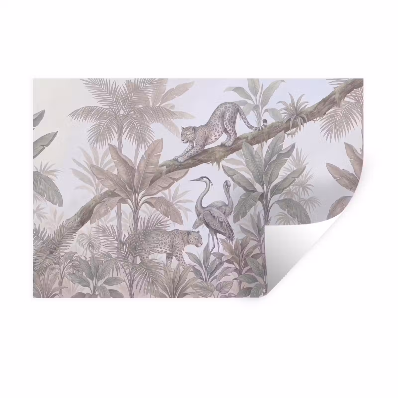 Muursticker - Kat - Vogel - Jungle - Illustratie - Dieren — 1