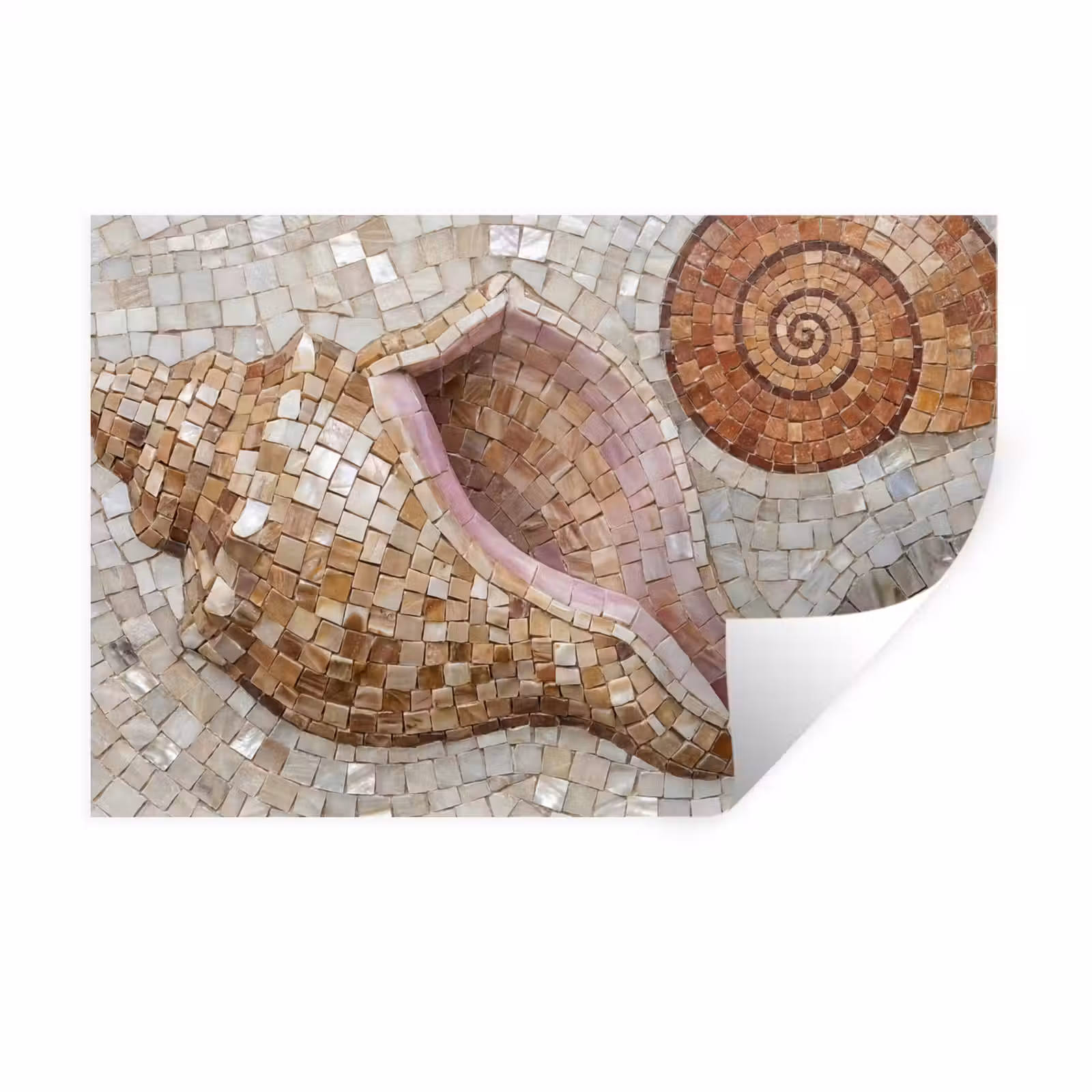 Muursticker - Schelp - Mozaïek - Zee - Beige - Modern — 1