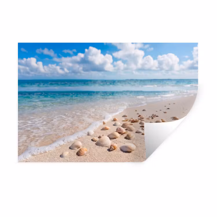 Muursticker - Schelpen - Strand - Natuur - Beige — 1