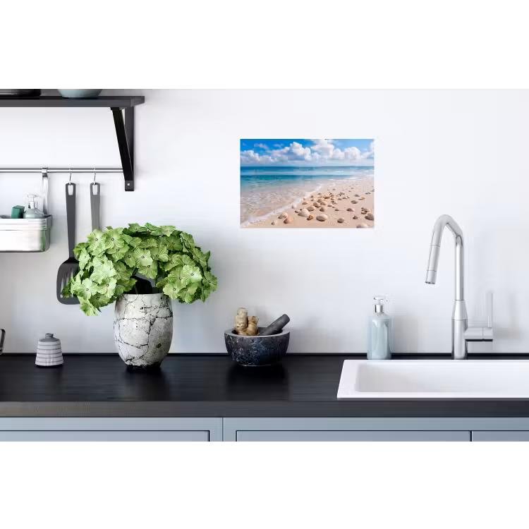 Muursticker - Schelpen - Strand - Natuur - Beige — 2