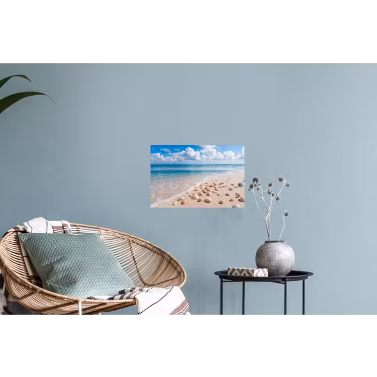 Muursticker - Schelpen - Strand - Natuur - Beige — 4