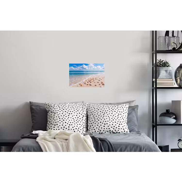 Muursticker - Schelpen - Strand - Natuur - Beige — 5