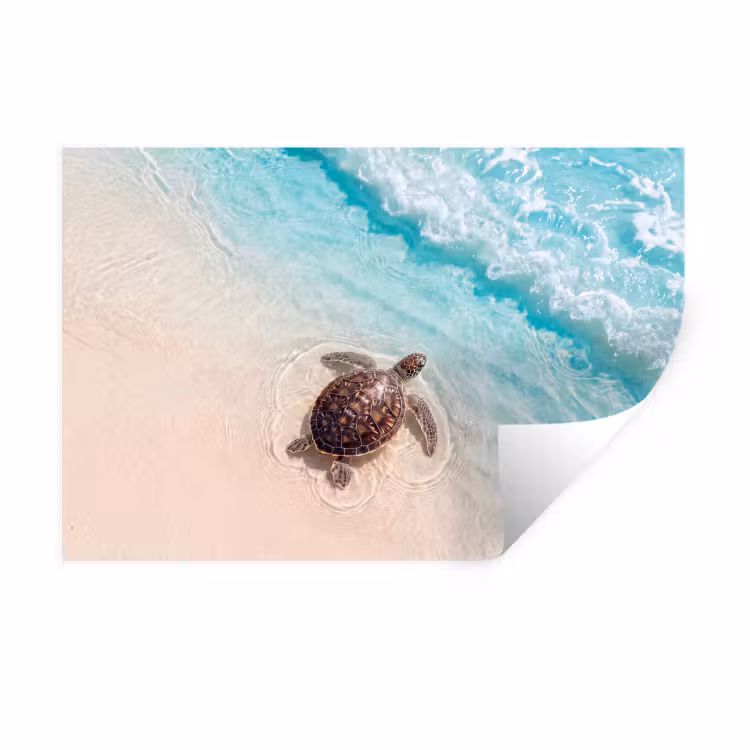 Muursticker - Schildpad - Helder water - Strand - Dieren - Natuur — 1