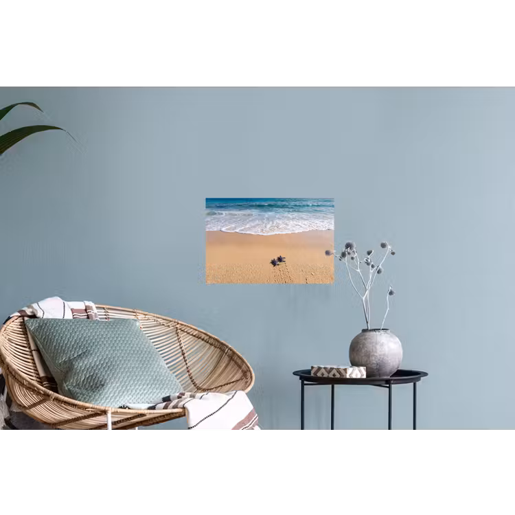 Muursticker - Schildpad - Jong - Strand - Oceaan - Blauw — 4