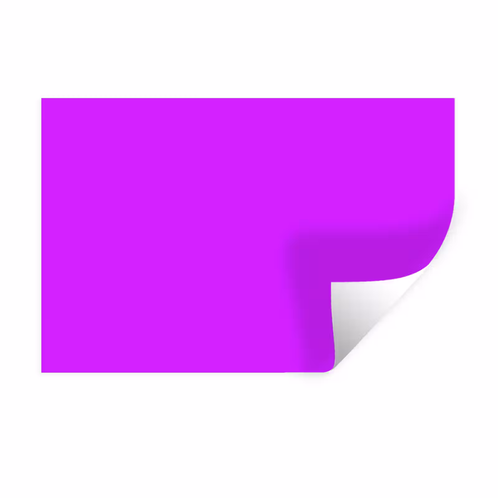 Muursticker - Neon - Orchid - Paars — 1