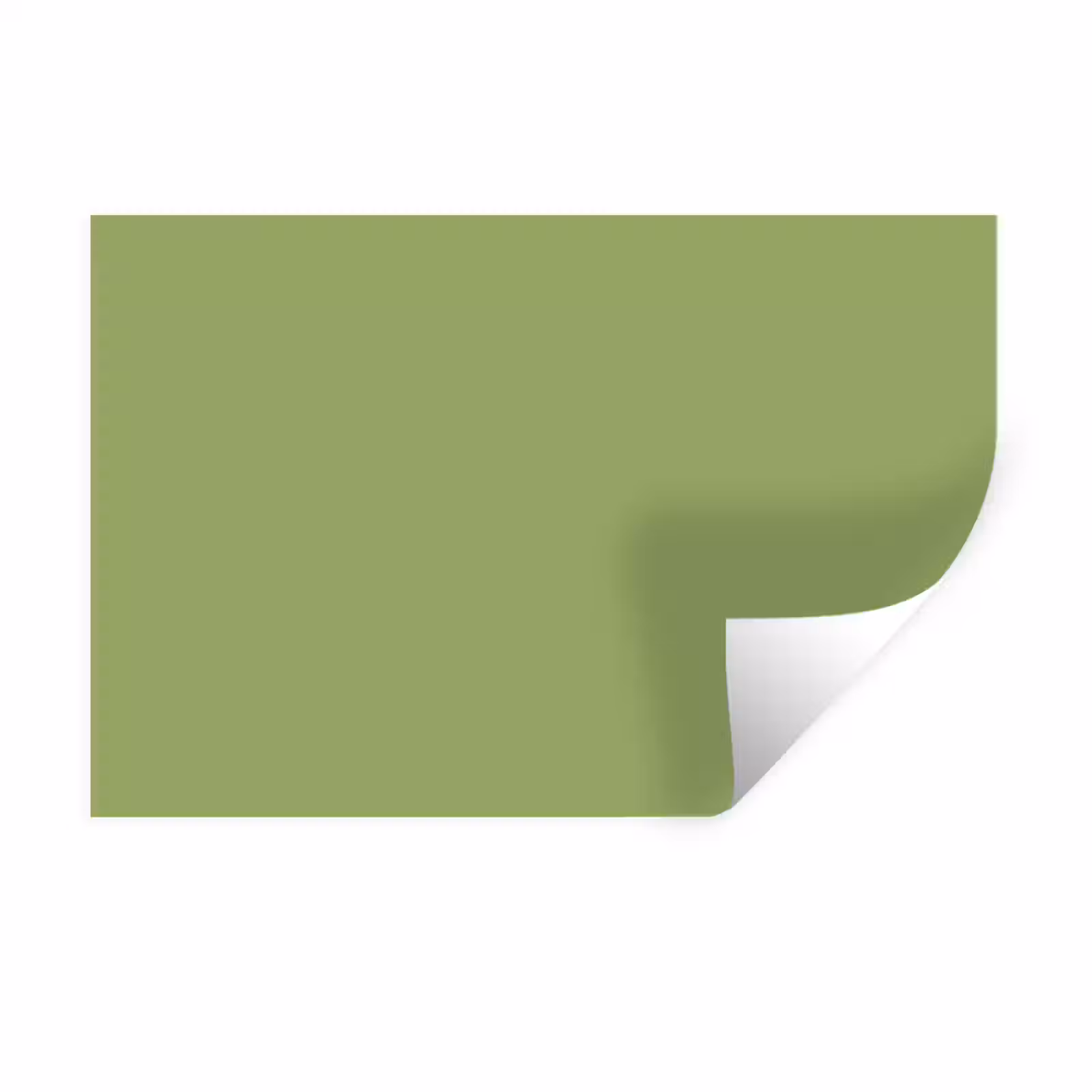 Muursticker - Sage - Green - Groen — 1