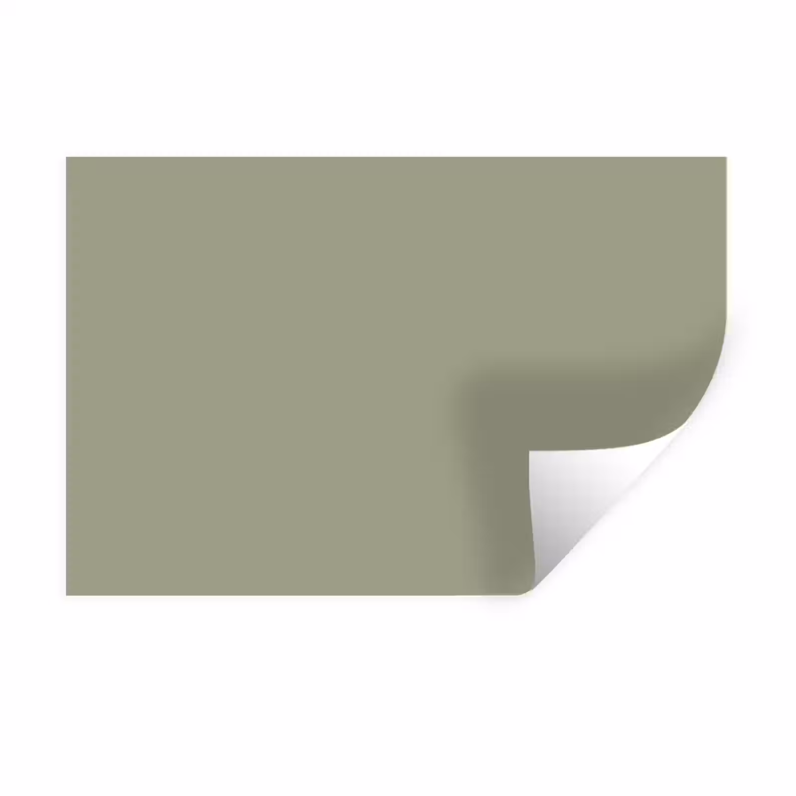 Muursticker - Sage - Mist - Groen — 1