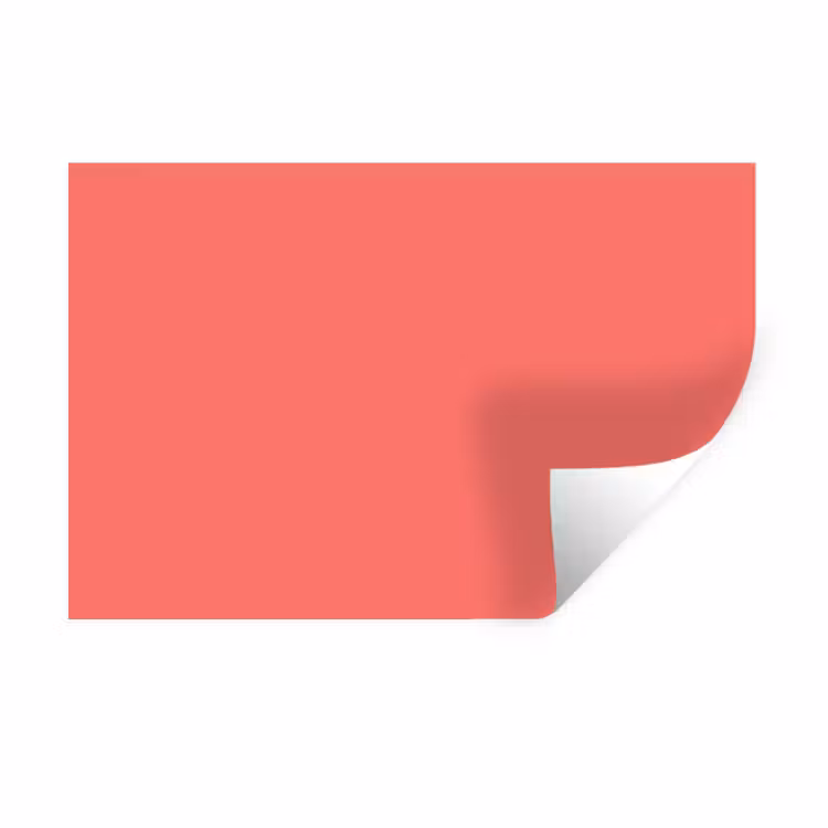 Muursticker - Coral - Punch - Koraal — 1