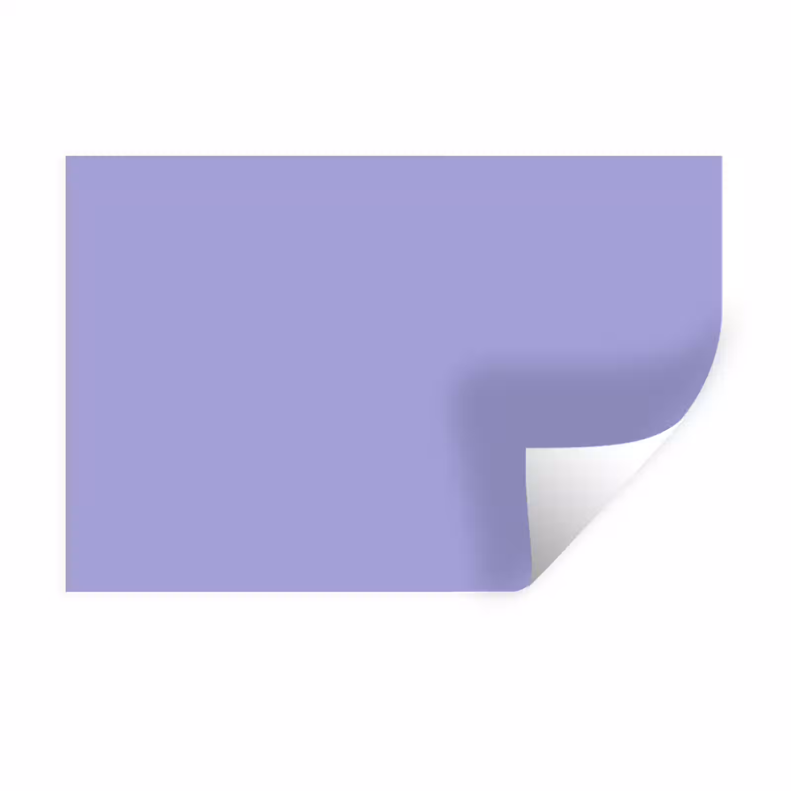Muursticker - Ceil - Paars - Lila — 1