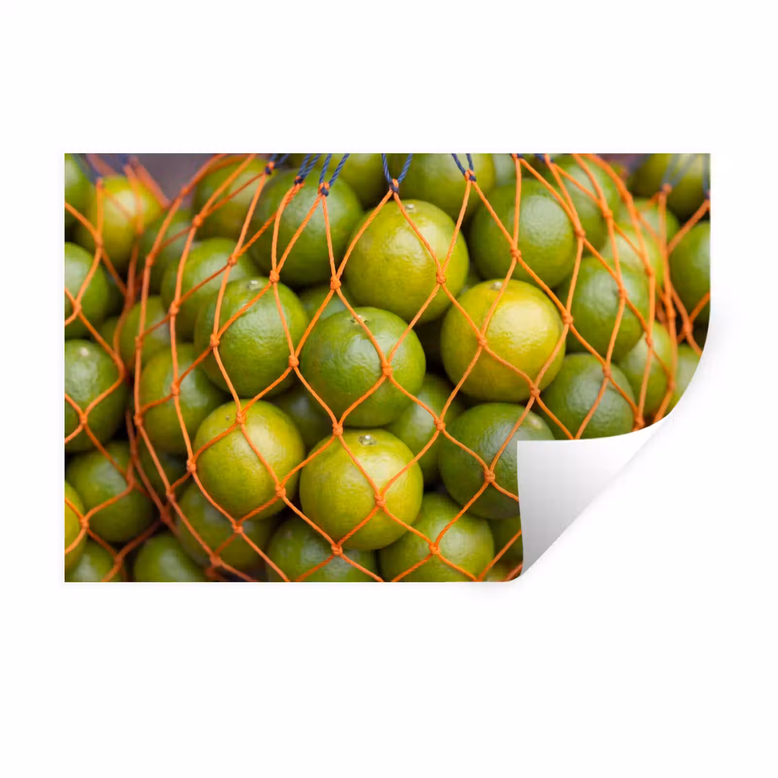 Muursticker - Eten - Net - Groen - Markt — 1