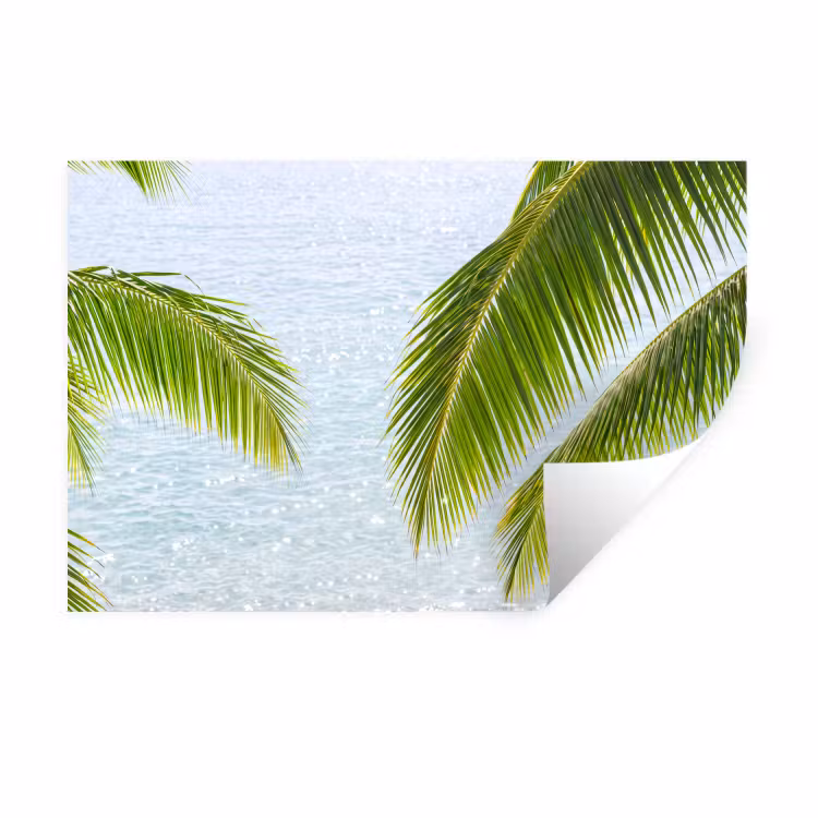 Muursticker - Boom - Bladeren - Water - Tropisch - Groen — 1