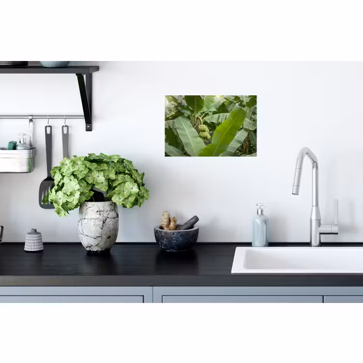 Muursticker - Eten - Bananen - Plantage - Groen — 2