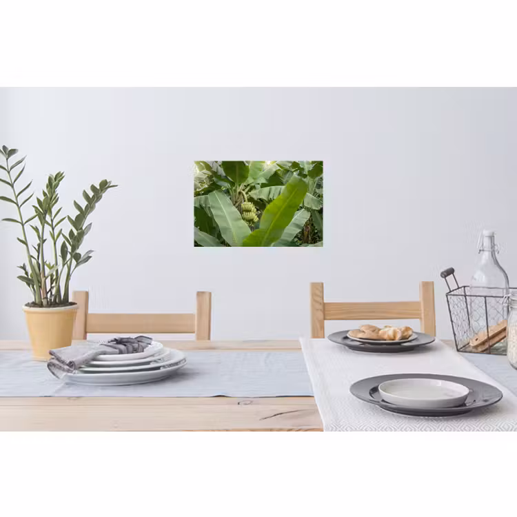 Muursticker - Eten - Bananen - Plantage - Groen — 3