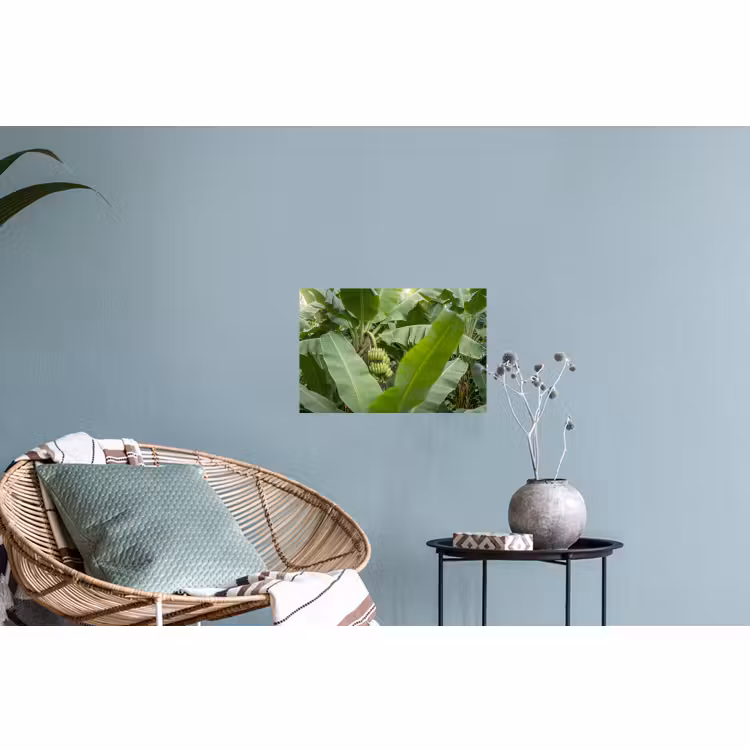 Muursticker - Eten - Bananen - Plantage - Groen — 4