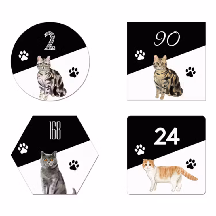 Naambordje Voordeur Kat — 1