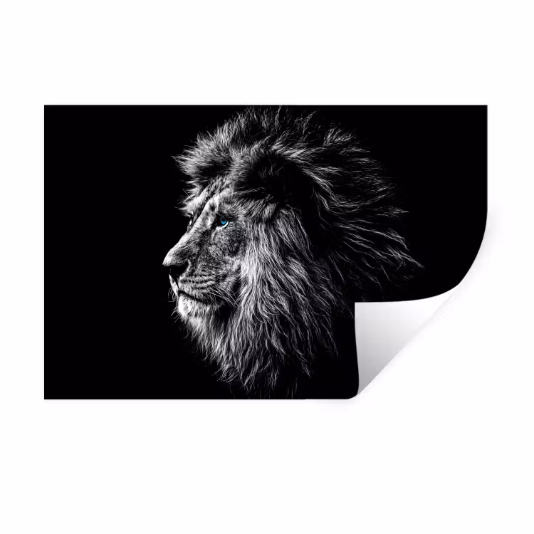Muursticker - Zwart Wit - Leeuw - Kop - Dieren — 1