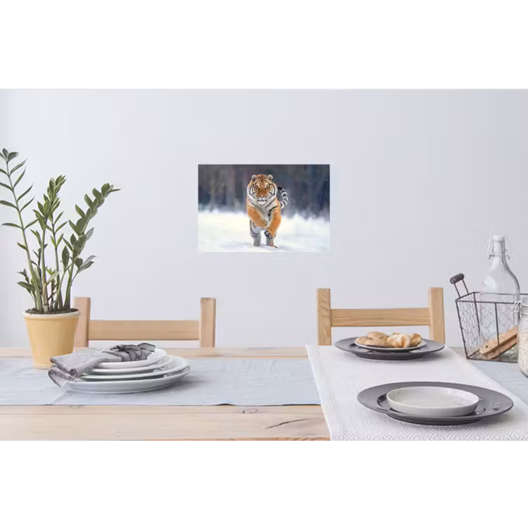 Muursticker - Tijger - Landschap - Sneeuw - Winter - Dieren — 3