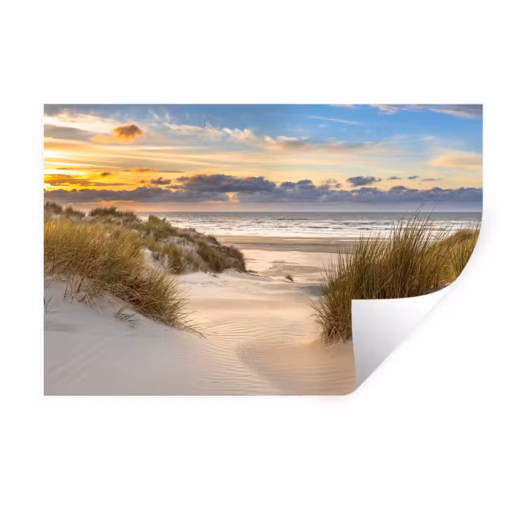 Muursticker - Strand - Duin - Gras - Zonsondergang - Zee — 1