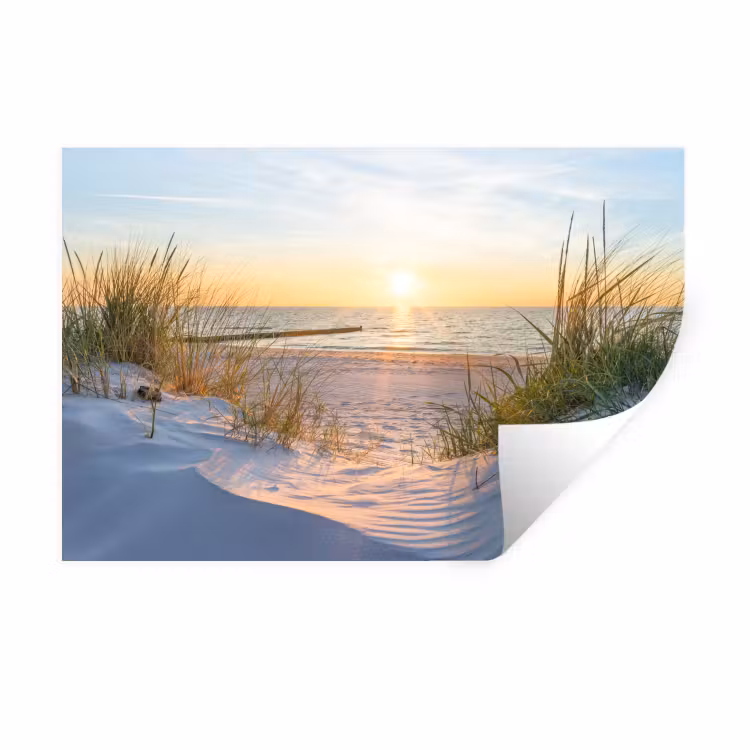 Muursticker - Strand - Zon - Duin - Gras - Zand - Horizon — 1