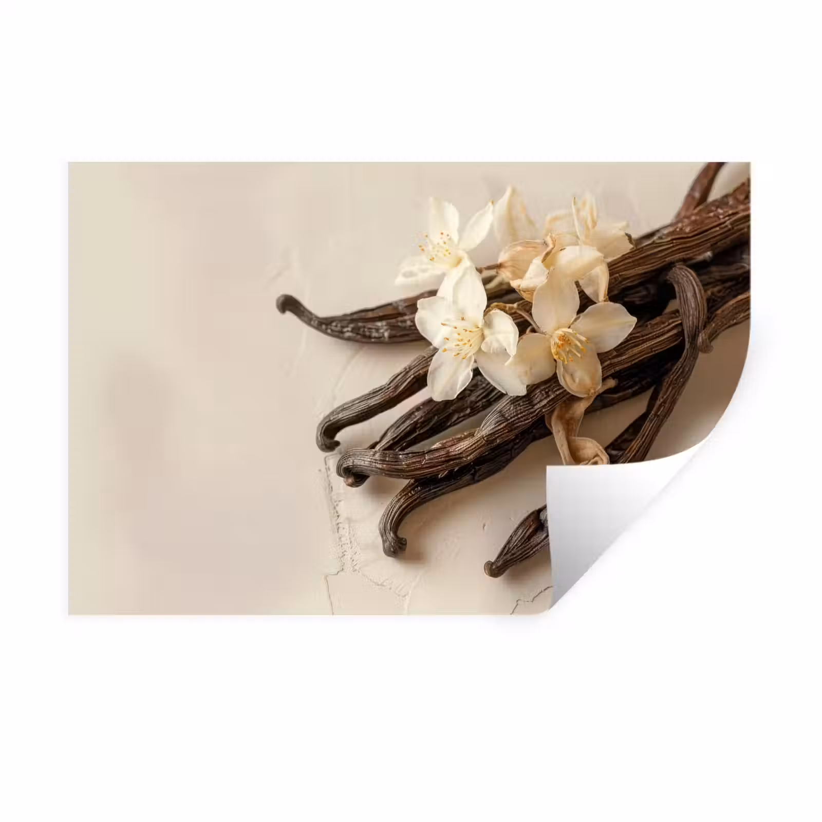 Muursticker - Vanille - Bloemen - Beige — 1