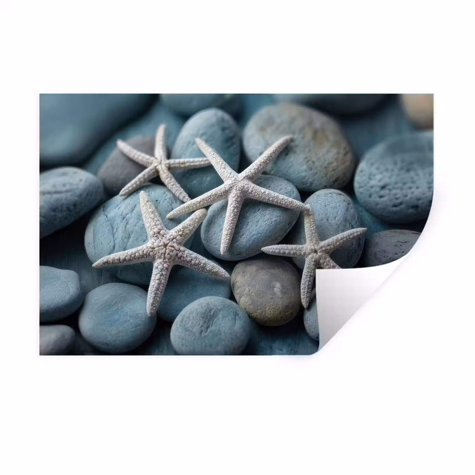 Muursticker - Zeesterren - Stenen - Wit — 1