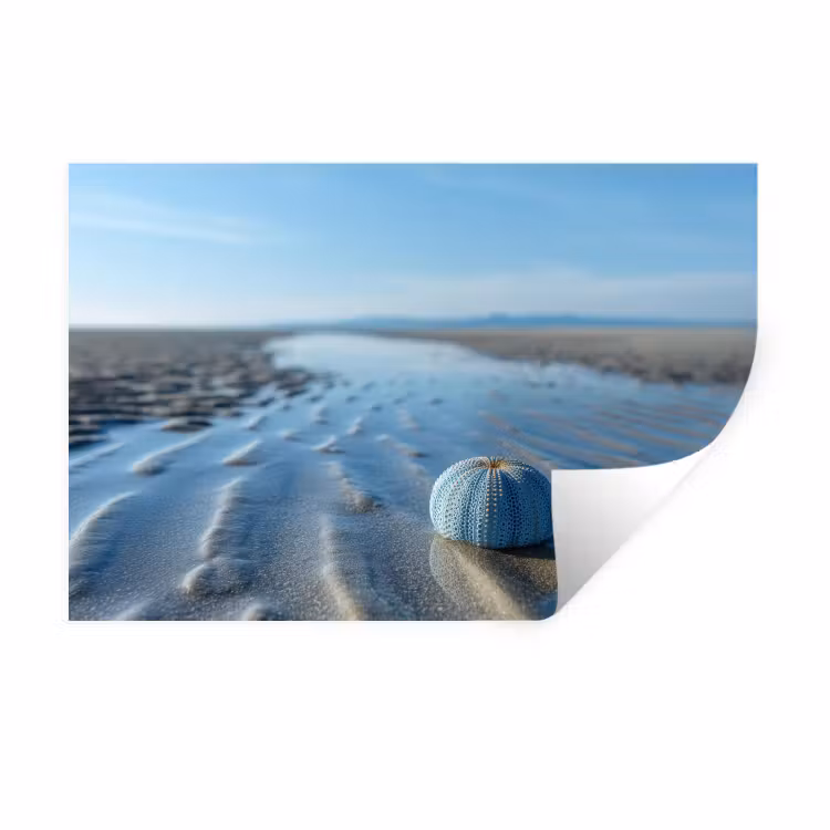Muursticker - Strand - Schild - Water - Blauw — 1