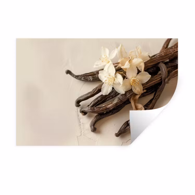 Muursticker - Vanille - Bloemen - Beige — 1