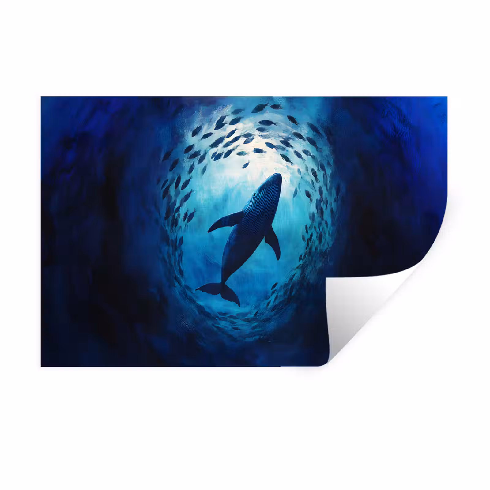 Muursticker - Walvis - Vissen - Donkerblauw — 1