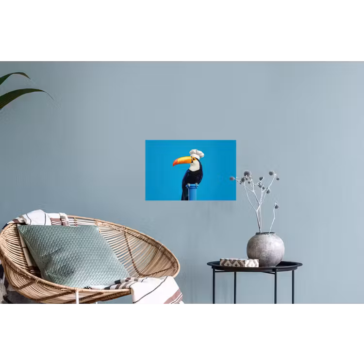 Muursticker - Tucan - Sokkel - Vogel - Koksmuts — 4