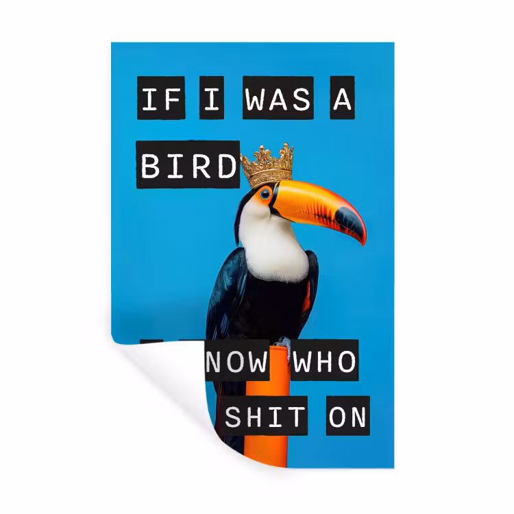 Muursticker - Vogel - Toekan - Blauw - Quotes — 1